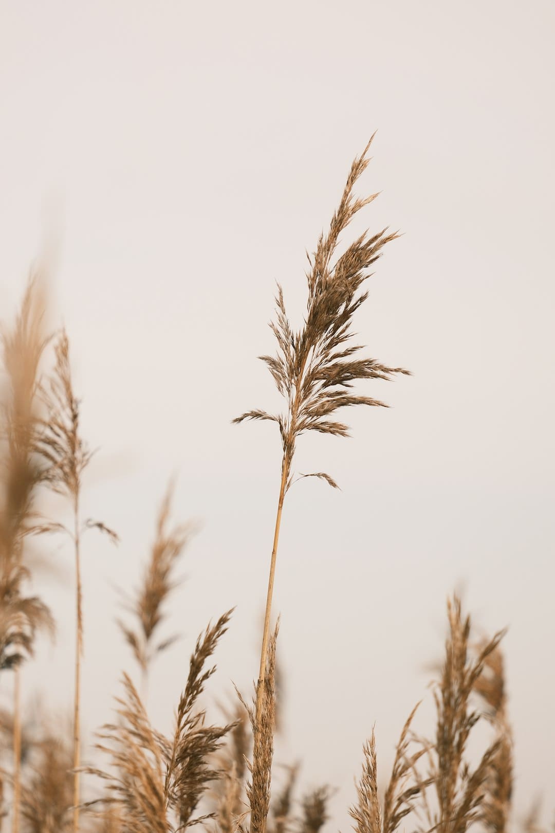 盯着拾荒老人不放,是怜悯?还是想遮羞?